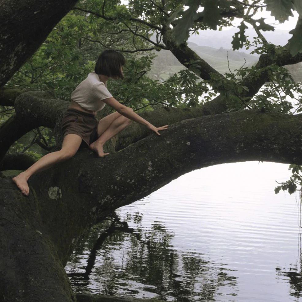Climbing Trees Fragrance Candle - Image 3