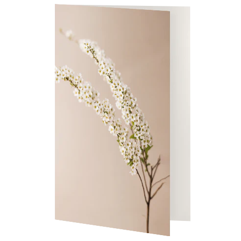 Greetings Card - General