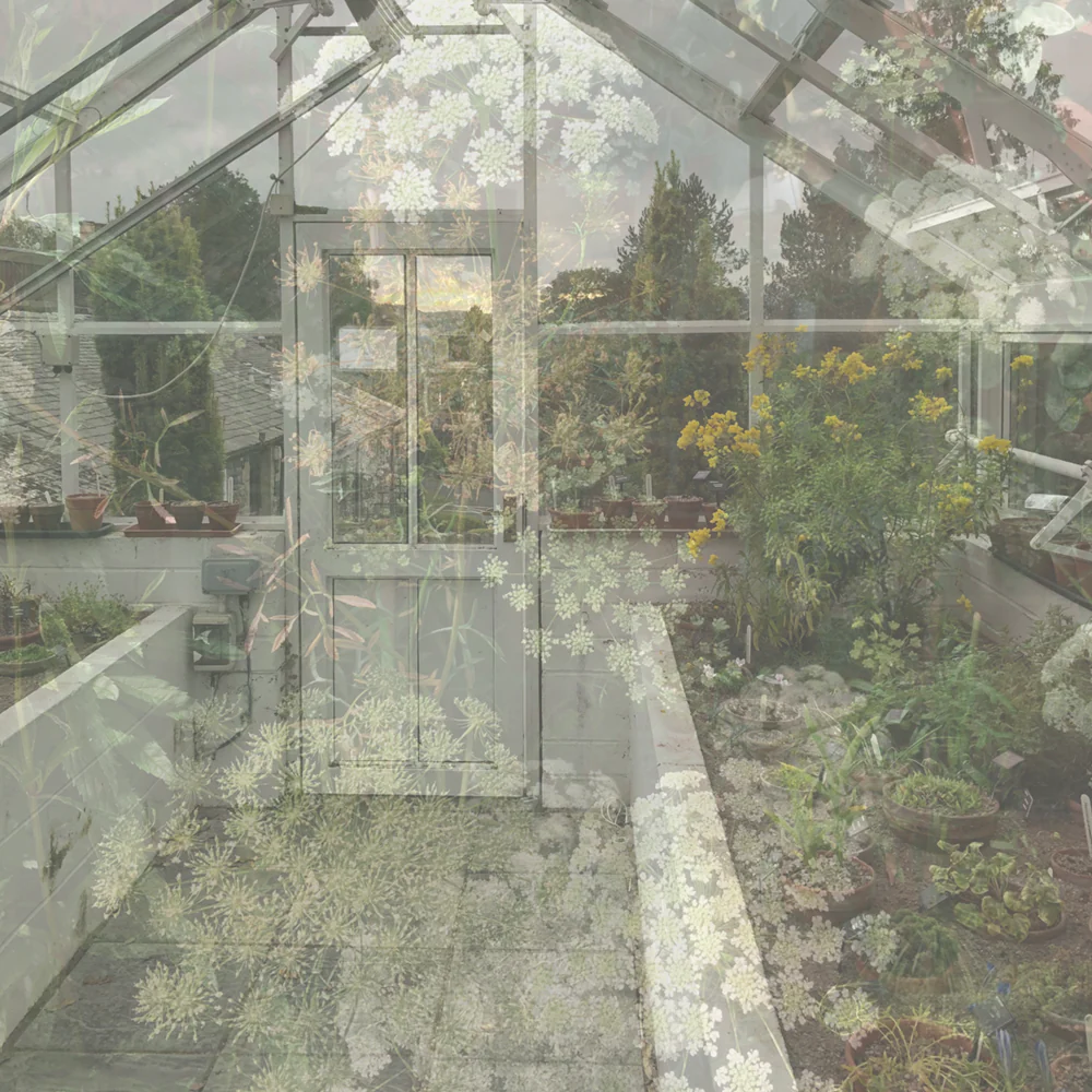 Greenhouse Fragrance Candle - Image 3